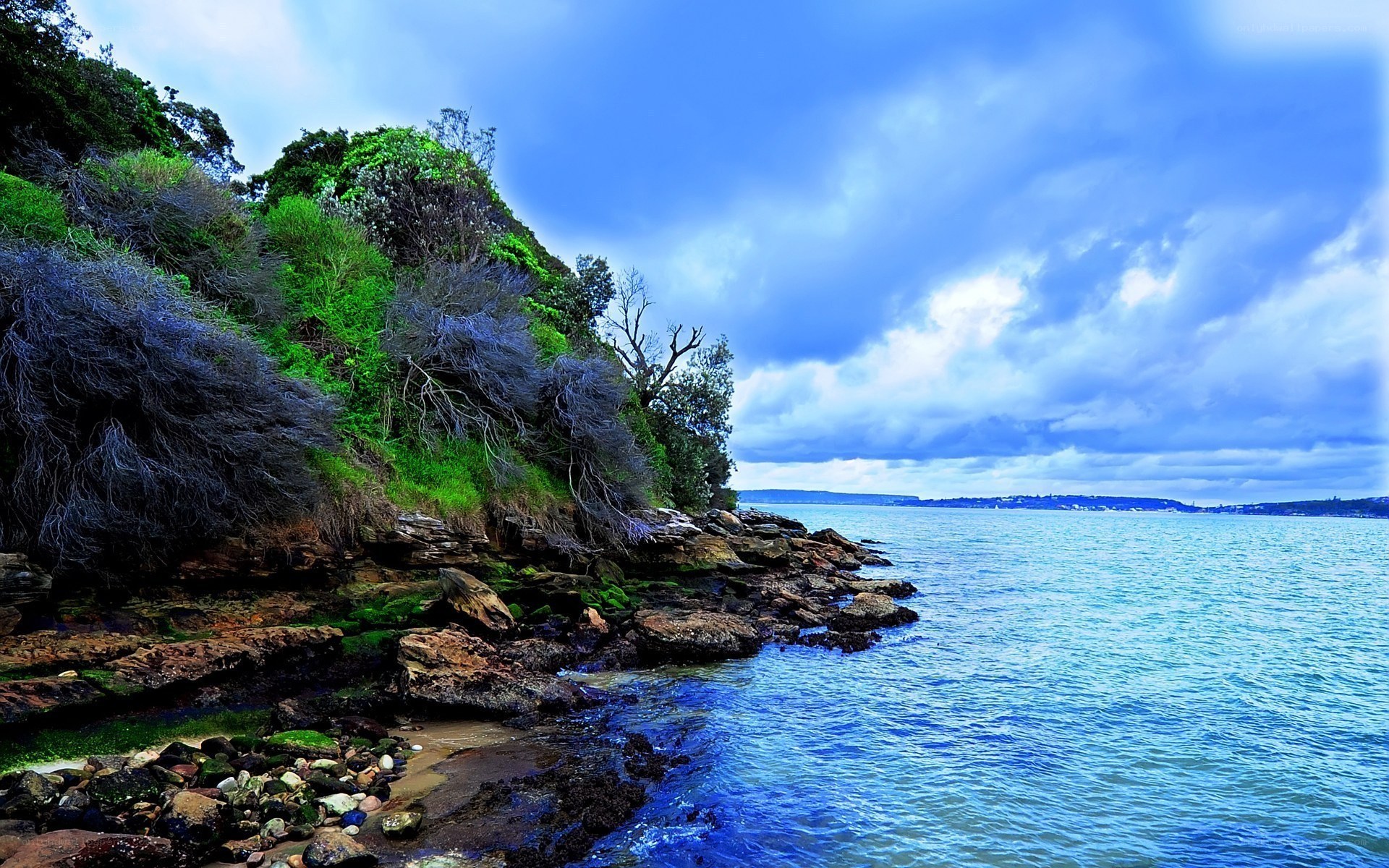 coastal cliff with blue sea