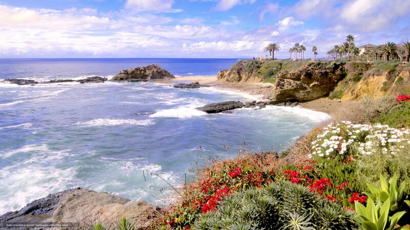 Coastal Cliff with Flowers — Blue, Serene, Afternoon