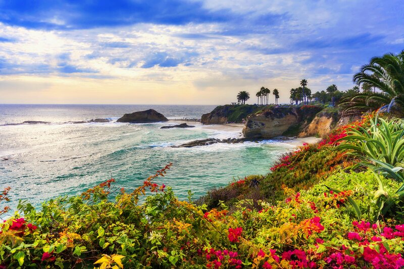 Coastal Cliff with Flowers — Blue, Serene, Sunset