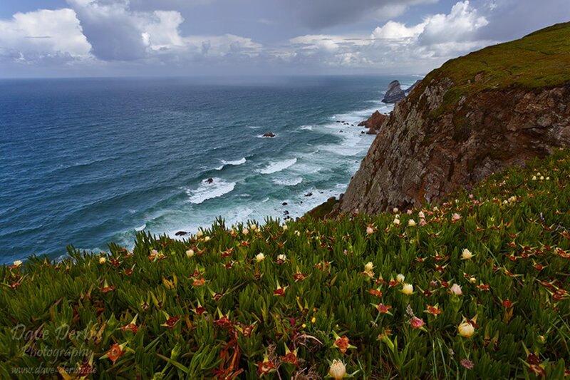 Coastal Cliff with Flowers — Green