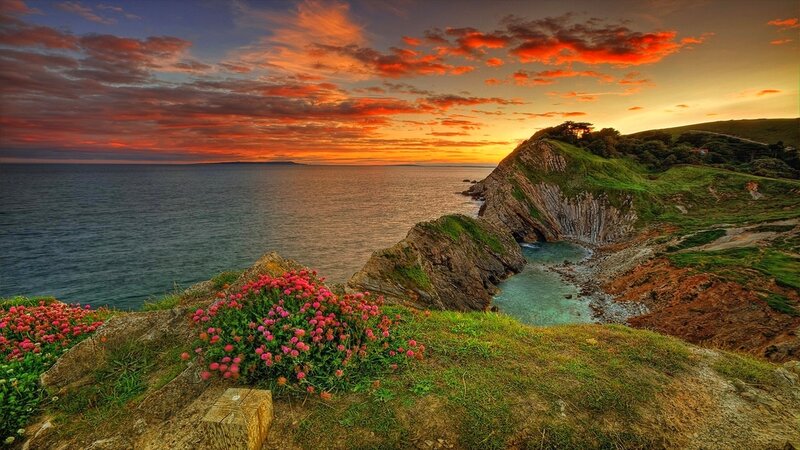 Coastal Cliff with Flowers — Orange, Dramatic