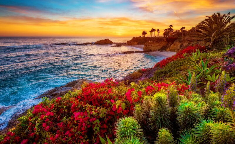 Coastal Cliff with Flowers — Red