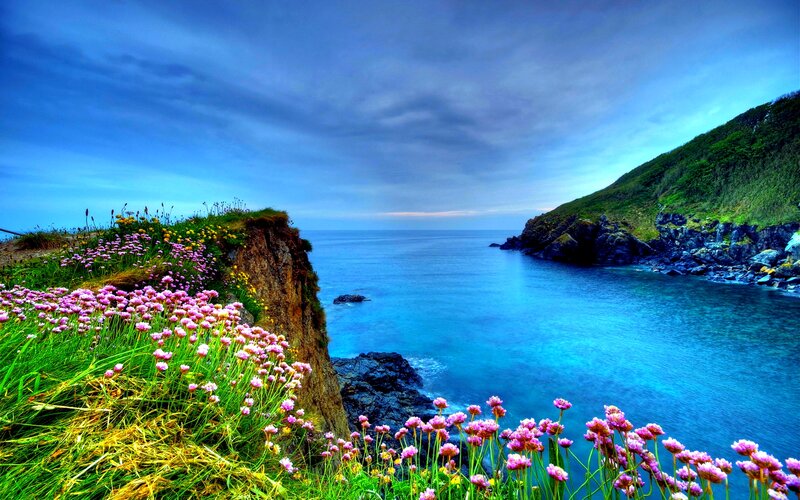 Coastal Cliff with Flowers