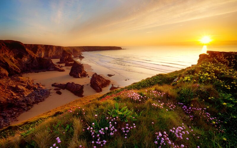 Coastal Cliff with Flowers — Yellow