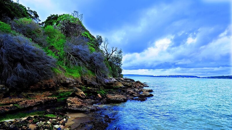 Coastal Cliff with Greenery