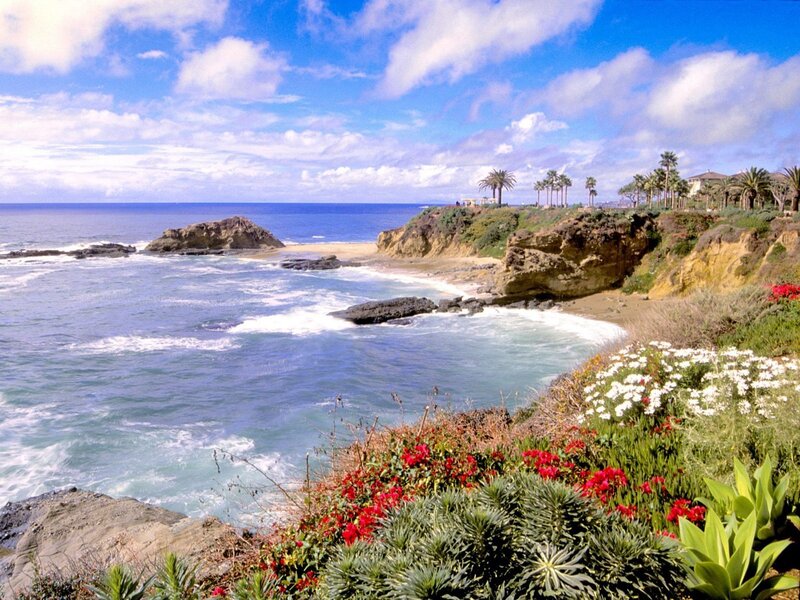 Coastal Cliff with Ocean — Blue, Serene, Afternoon, Photograph, Palm Trees, Flowers, Rocks, Green