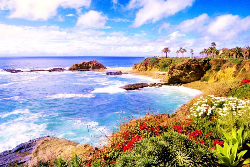 Coastal Cliff with Ocean — Blue, Serene, Afternoon, Photograph, Palm Trees