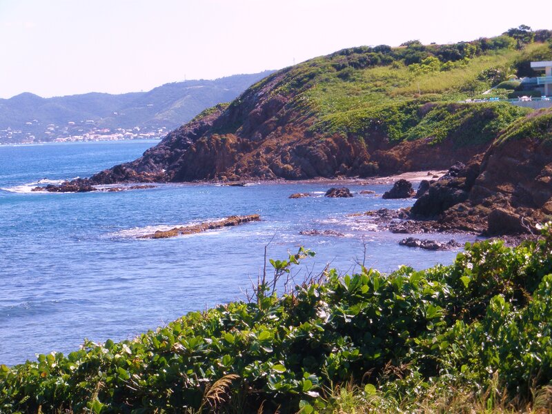 Coastal Cliff with Ocean — Blue, Serene, Afternoon, Photograph, Rocks, Vegetation