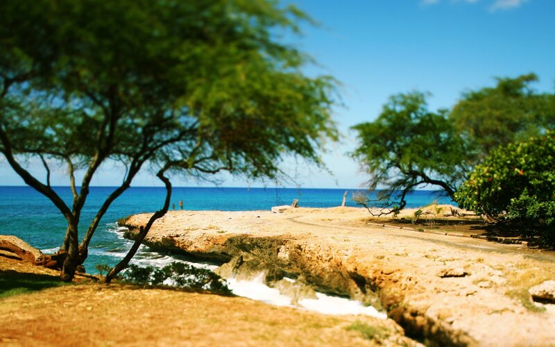 Coastal Cliff with Ocean — Blue, Serene, Afternoon, Photograph, Trees, Green