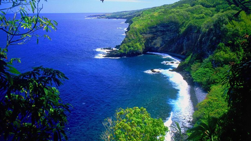 Coastal Cliff with Ocean — Blue, Serene, Afternoon, Photograph, Trees, Green, White