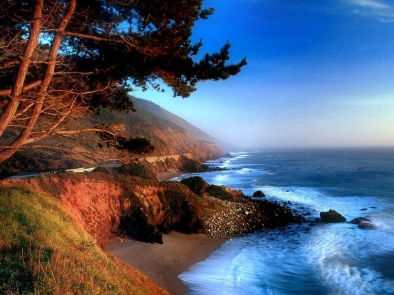 Coastal Cliff with Ocean — Blue, Serene, Sunset, Photograph, Tree