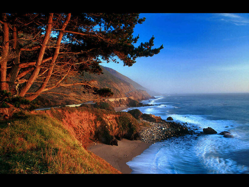 Coastal Cliff with Ocean — Blue, Serene, Sunset, Photograph, Trees, Road, Beach