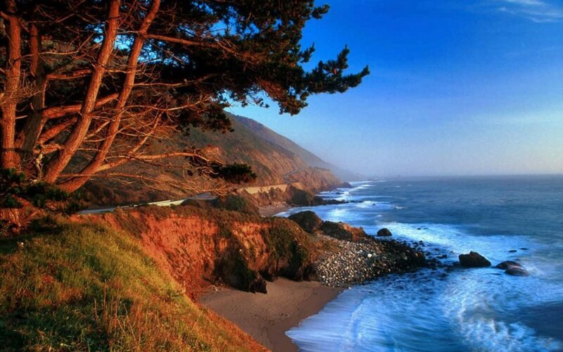 Coastal Cliff with Ocean — Blue, Serene, Sunset, Photograph, Trees