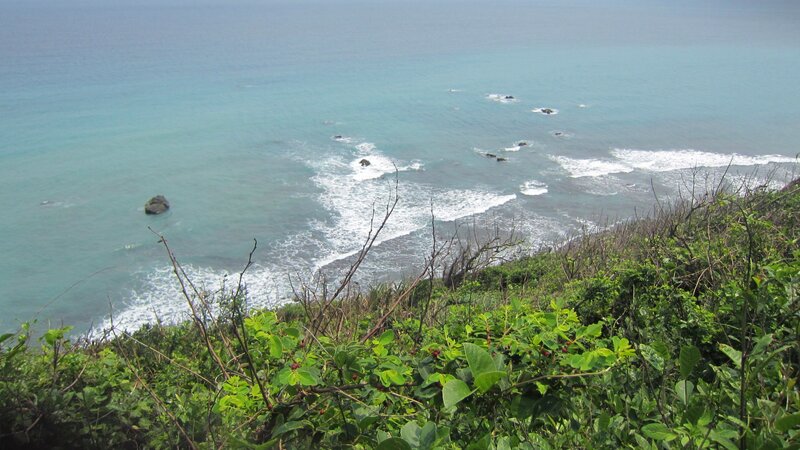 Coastal Cliff with Ocean — Green, Serene, Afternoon