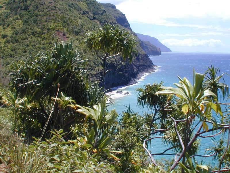 Coastal Cliff with Ocean — Green, Serene