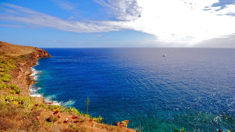 Coastal Cliff with Ocean — Serene