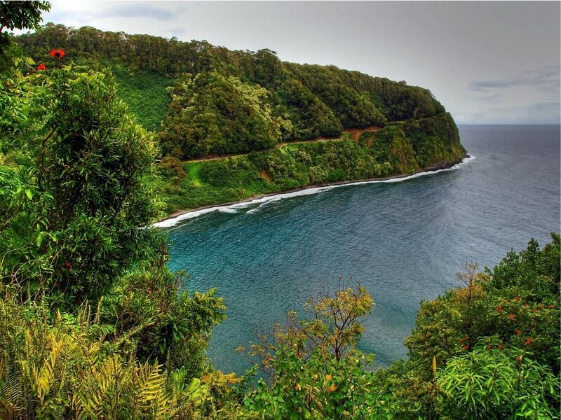 Coastal Cliff with Ocean