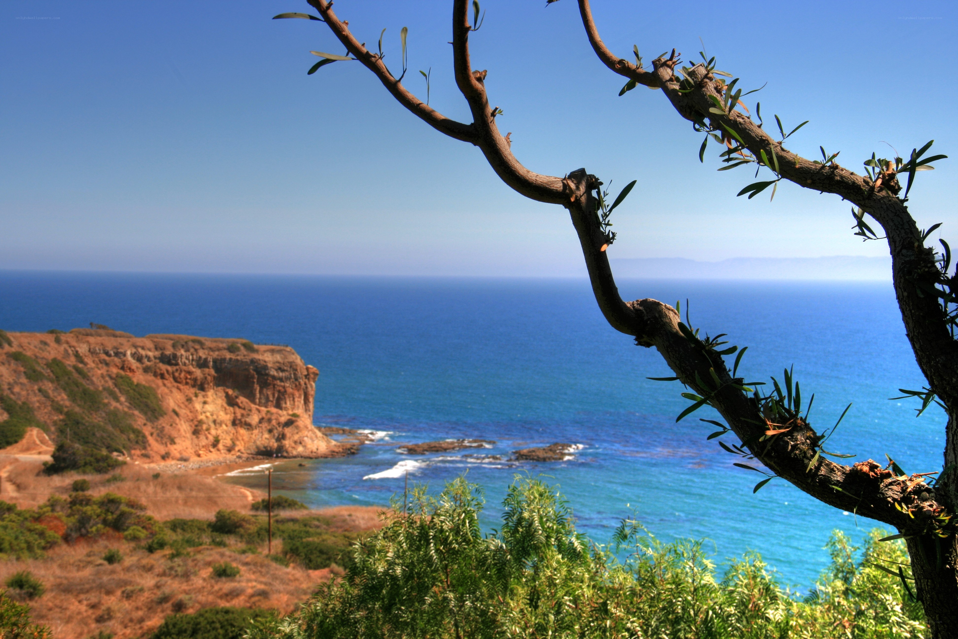 coastal cliff with ocean view