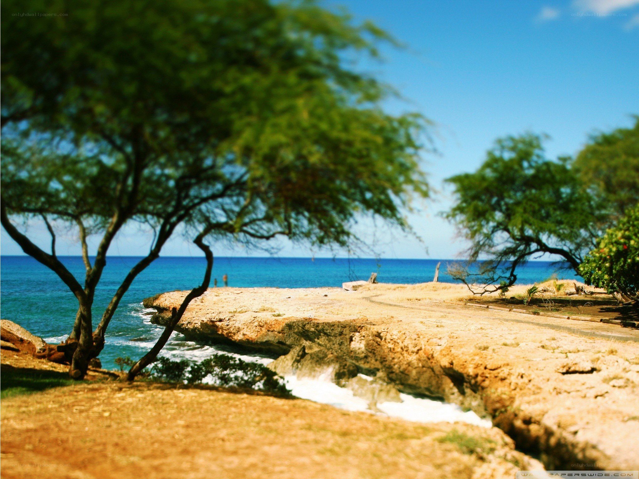 Coastal cliff with ocean view