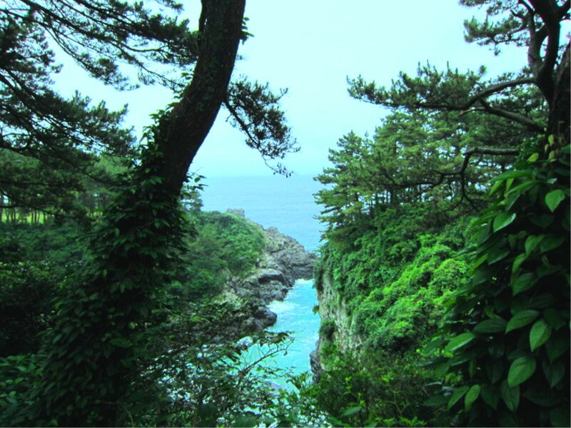 Coastal Cliff with Ocean View — Green