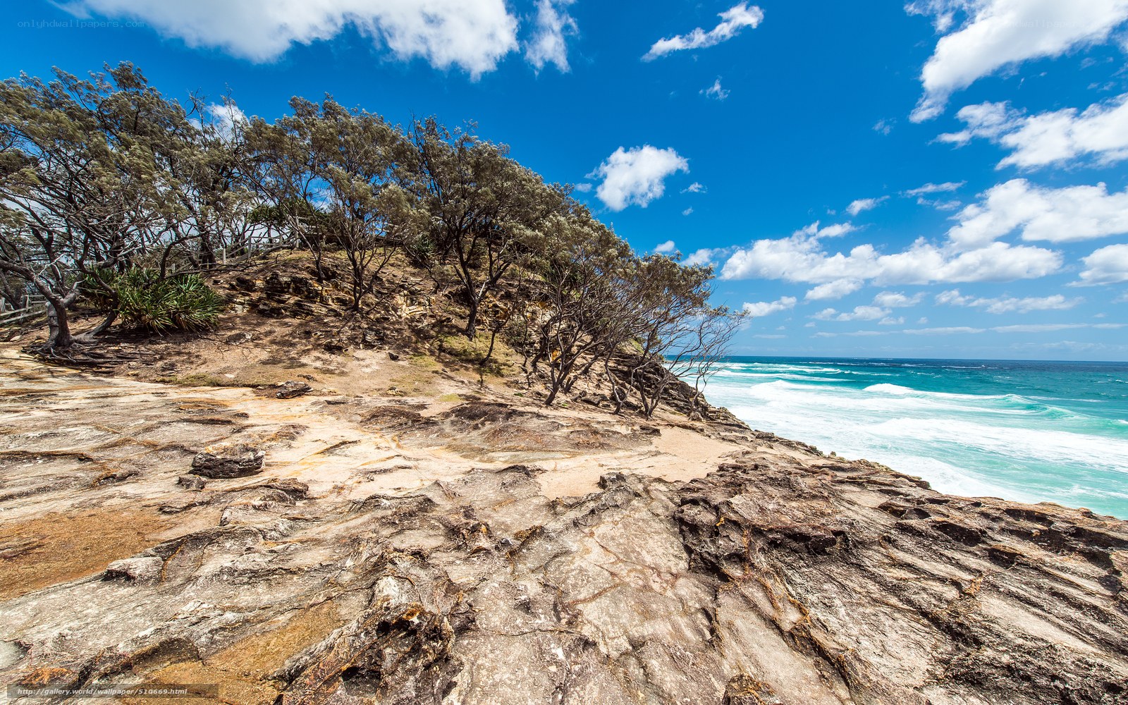 coastal cliff with ocean view