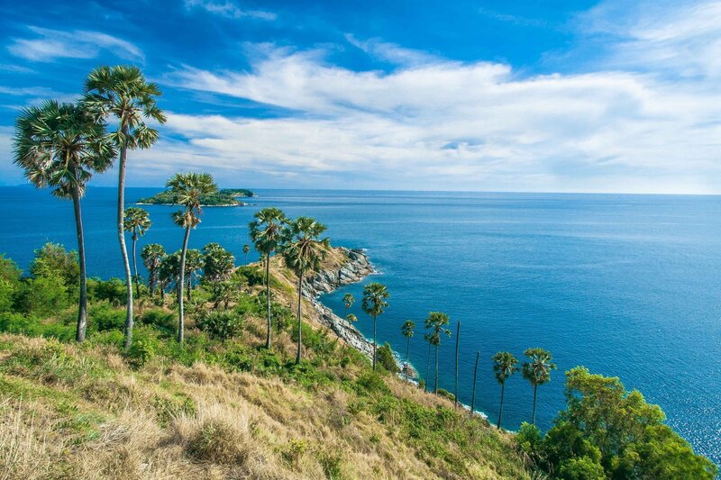 Coastal Cliff with Palm Trees — Blue