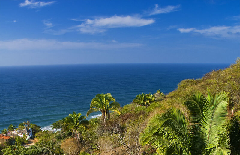 Coastal Cliff with Palm Trees