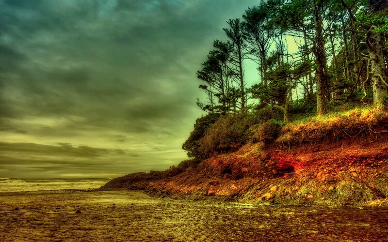 Coastal Cliff with Trees — Green