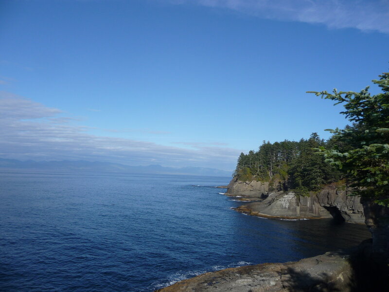 Coastal Cliff with Trees