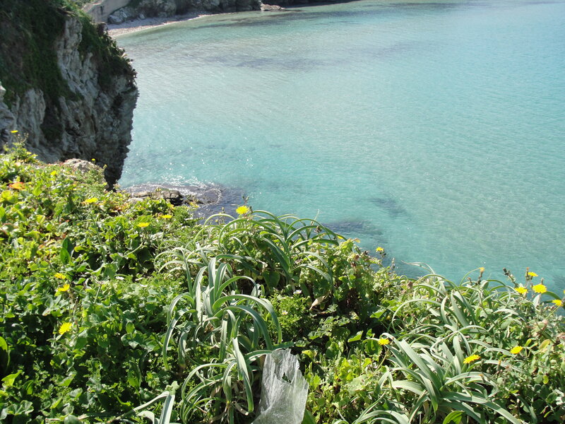 coastal cliff with turquoise water