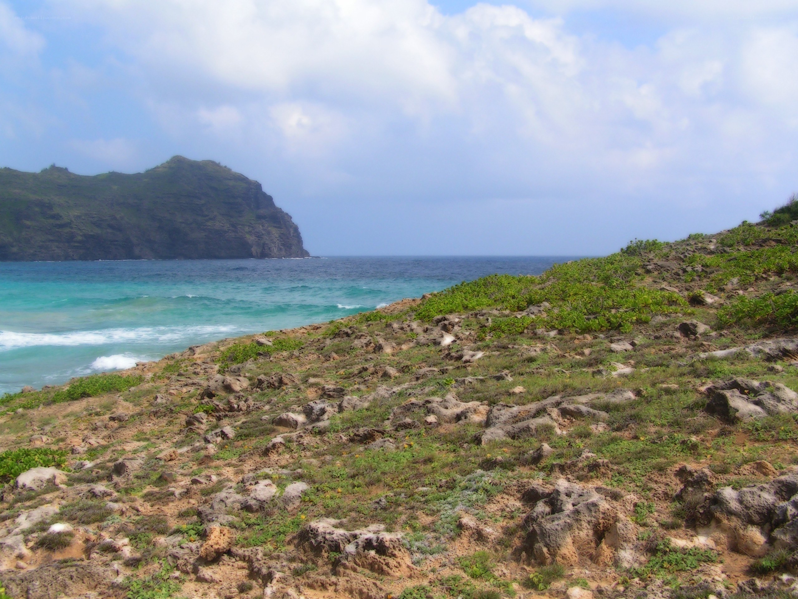 coastal cliff with turquoise water