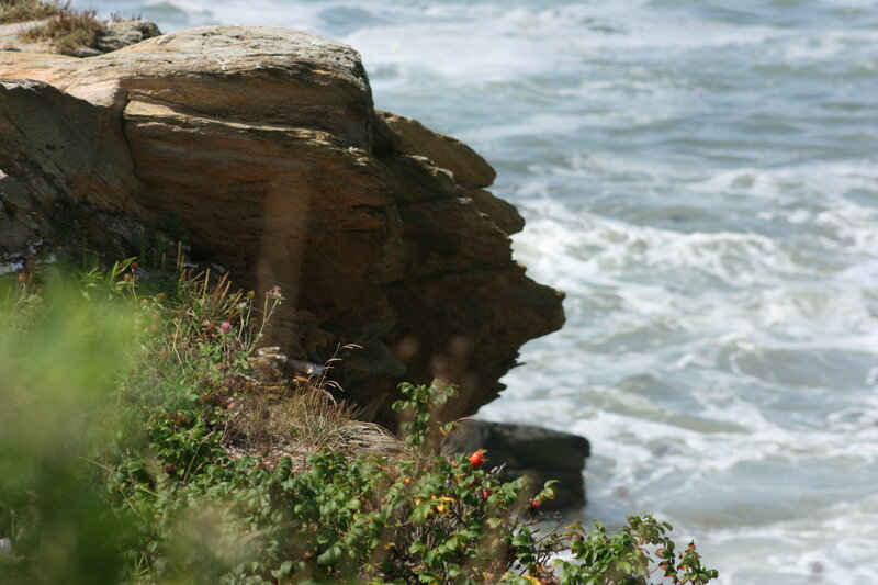 Coastal Cliff with Waves — Green, Natural