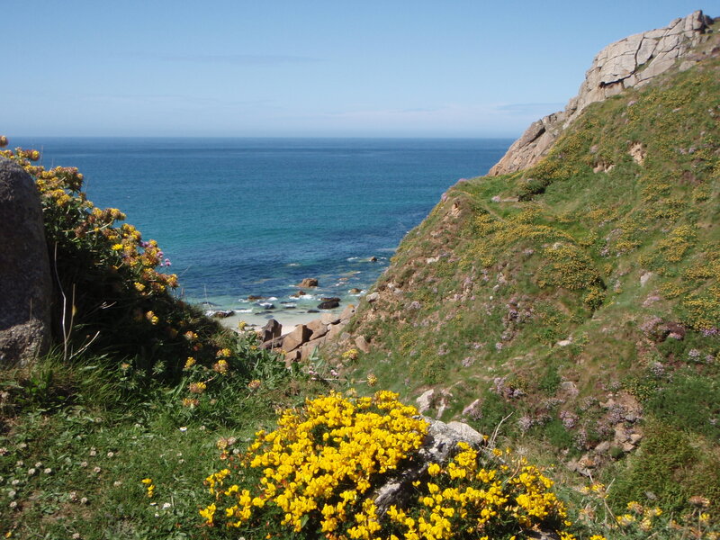 Coastal cliff with yellow flowers