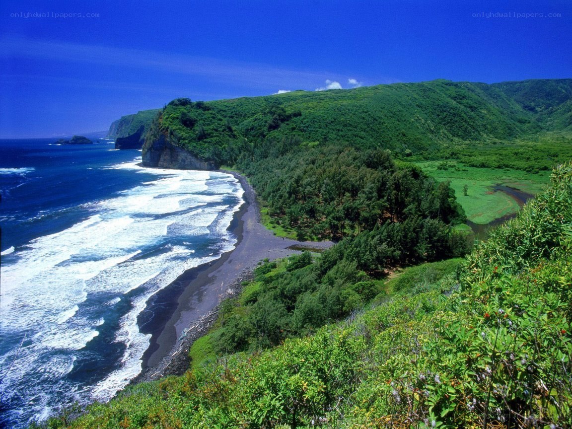 coastal cliffs and black sand beach
