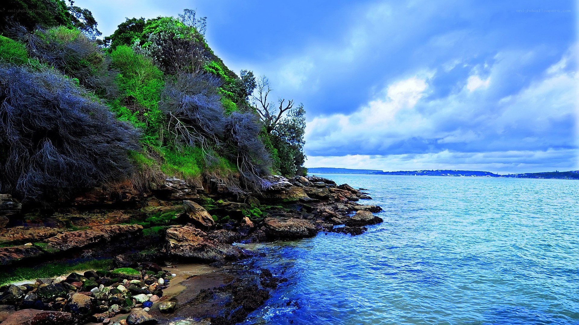 coastal cliffs and blue sea