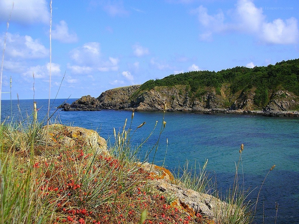 coastal cliffs and blue sea