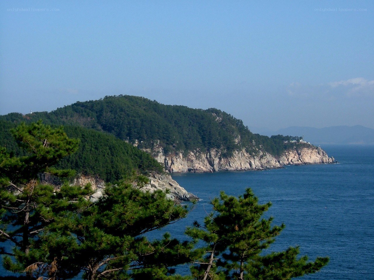 coastal cliffs and forested island