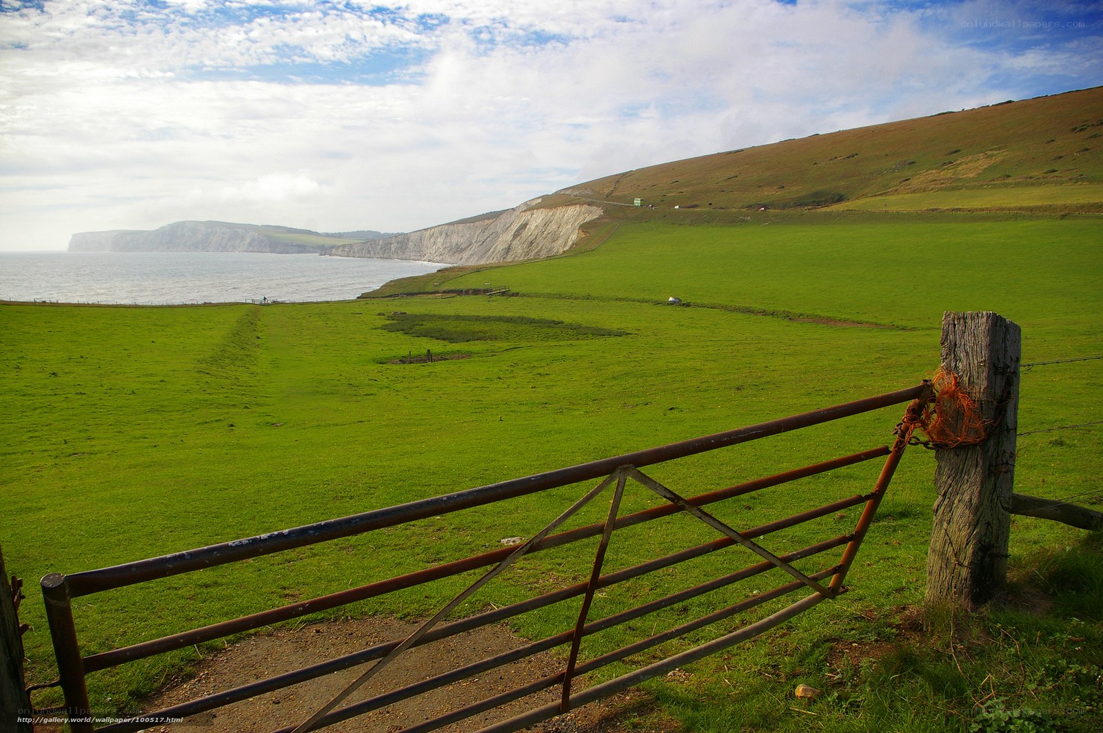 Coastal cliffs and green fields