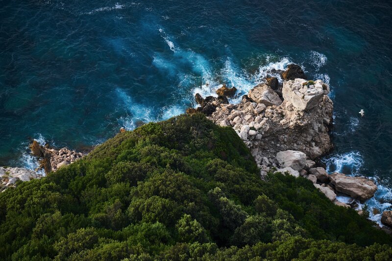 Coastal Cliffs and Ocean — Blue, Dramatic, Afternoon, Photograph, Rocks, Trees