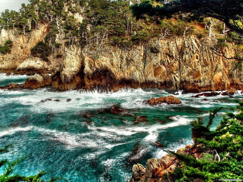 Coastal Cliffs and Ocean — Blue, Dramatic, Photograph, Trees