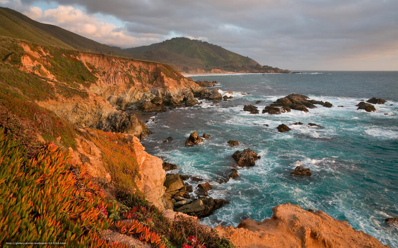 Coastal Cliffs and Ocean — Blue, Dramatic, Sunset, Photograph, Rocks, Plants