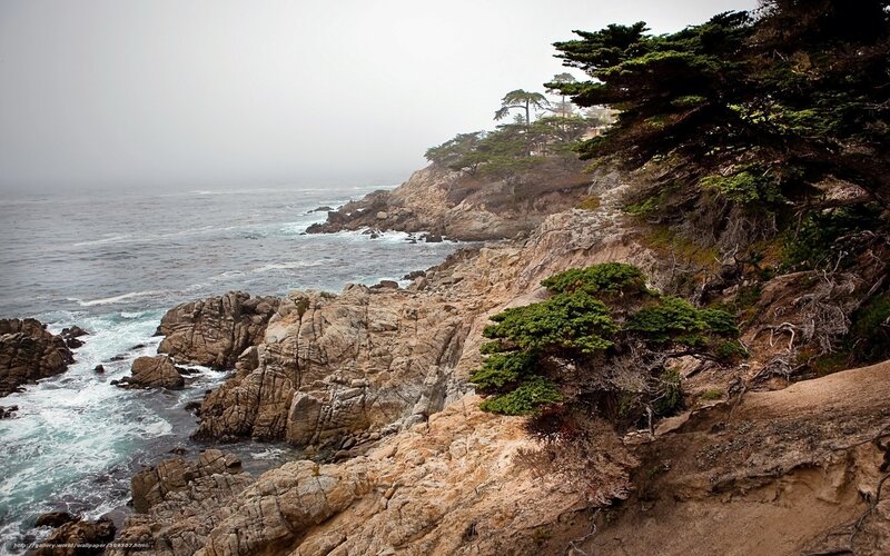 Coastal Cliffs and Ocean — Gray, Misty