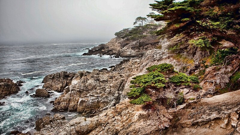 Coastal Cliffs and Ocean — Green, Misty, Photograph