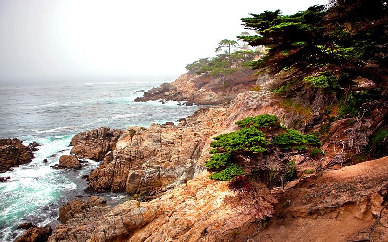 Coastal Cliffs and Ocean — Green, Misty