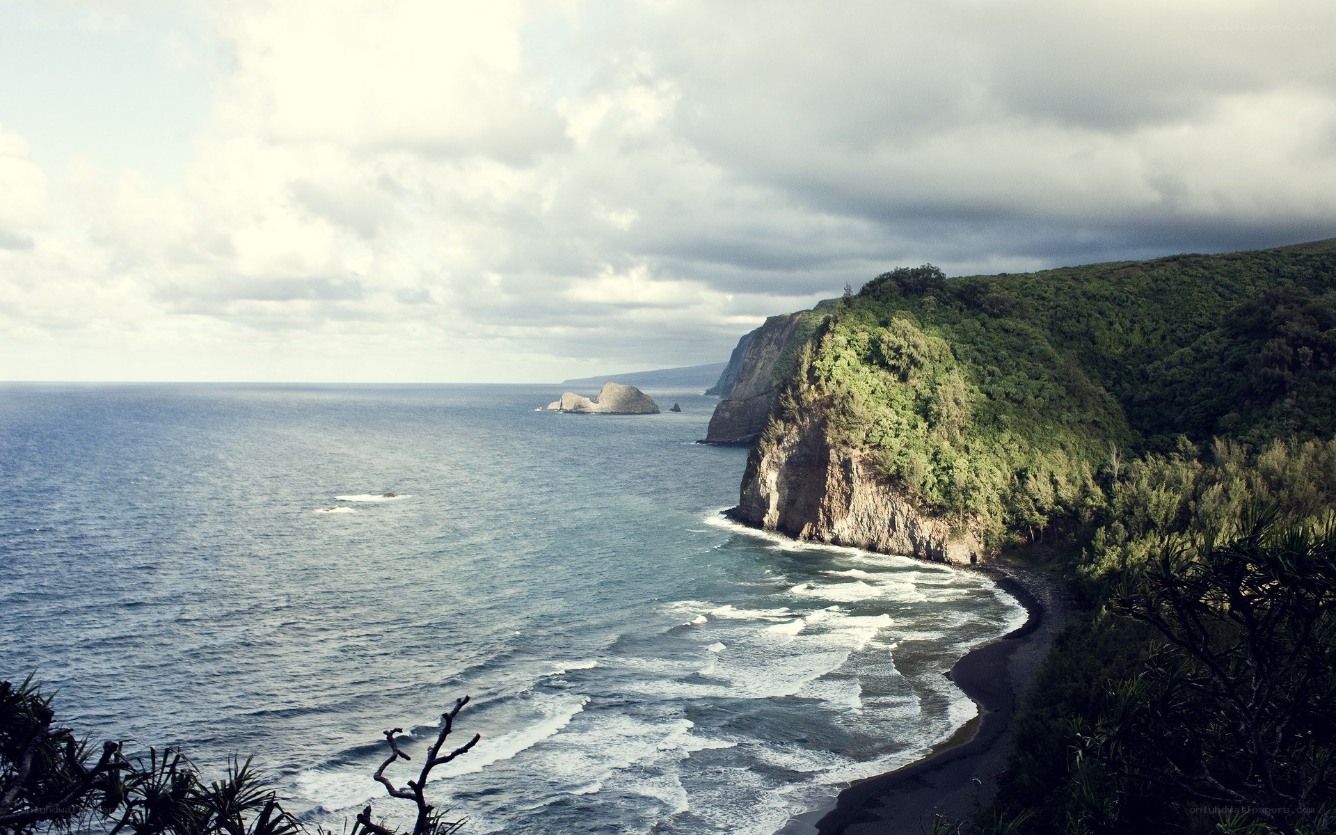 coastal cliffs and ocean view