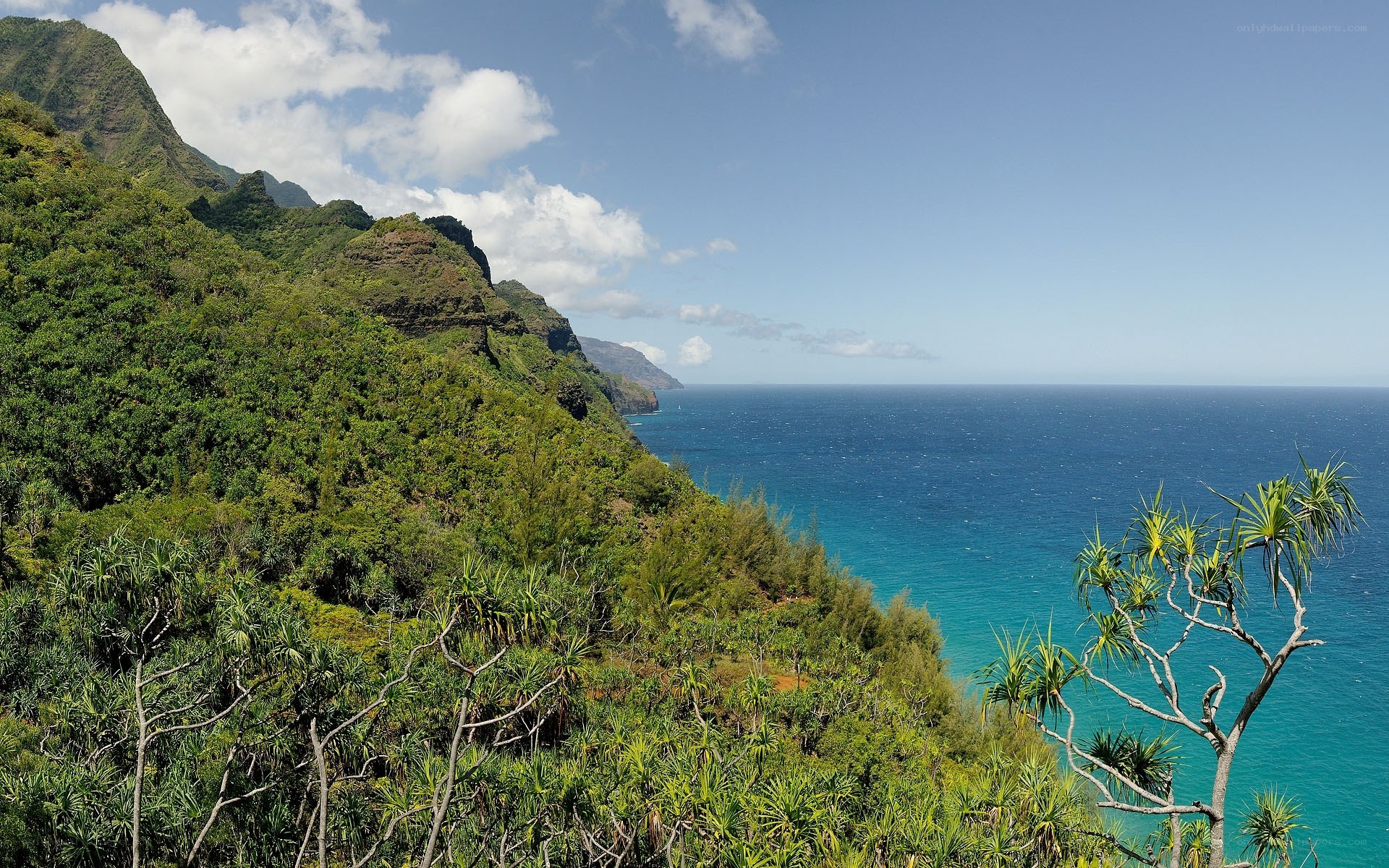 coastal cliffs and ocean view