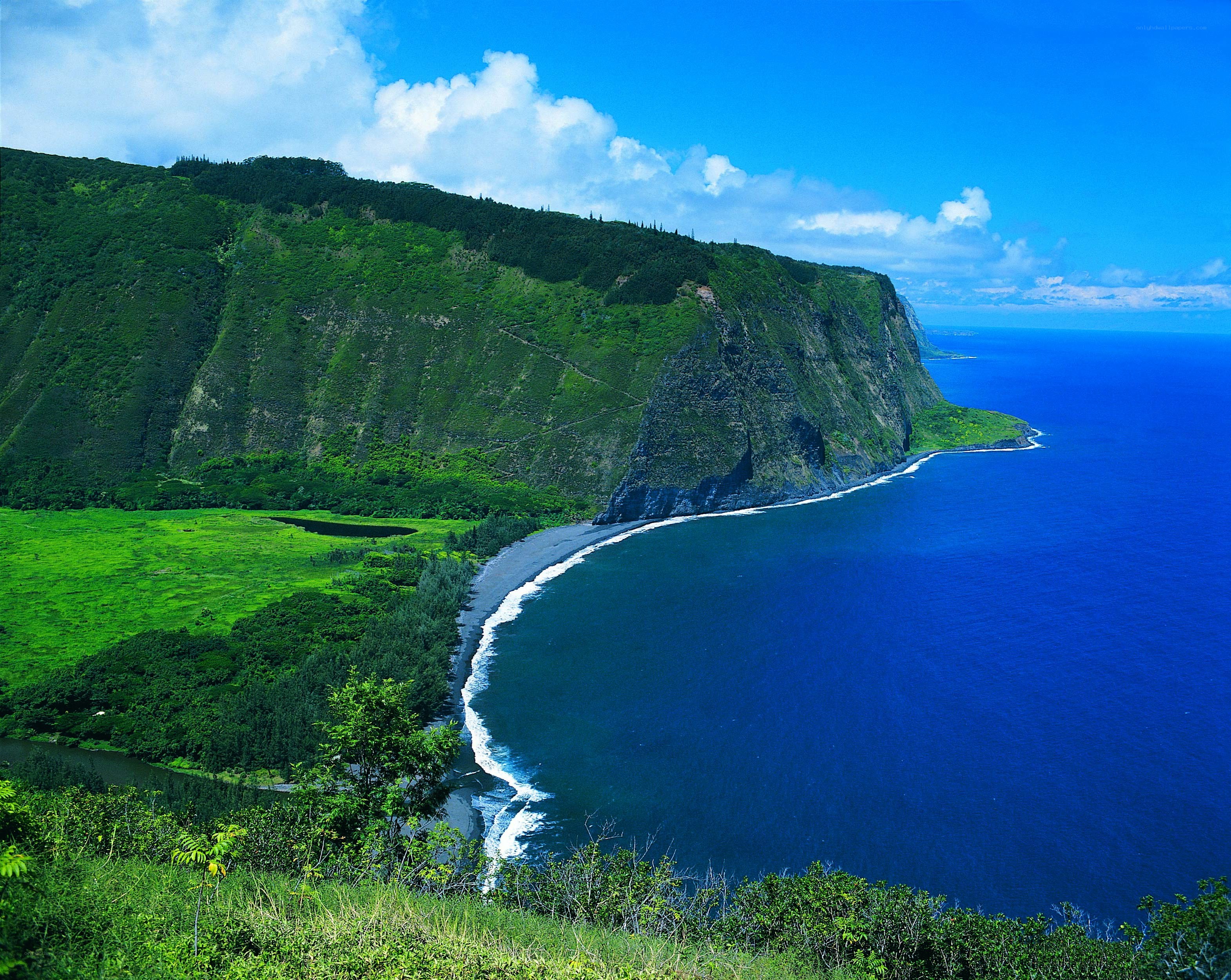 Coastal cliffs and ocean view