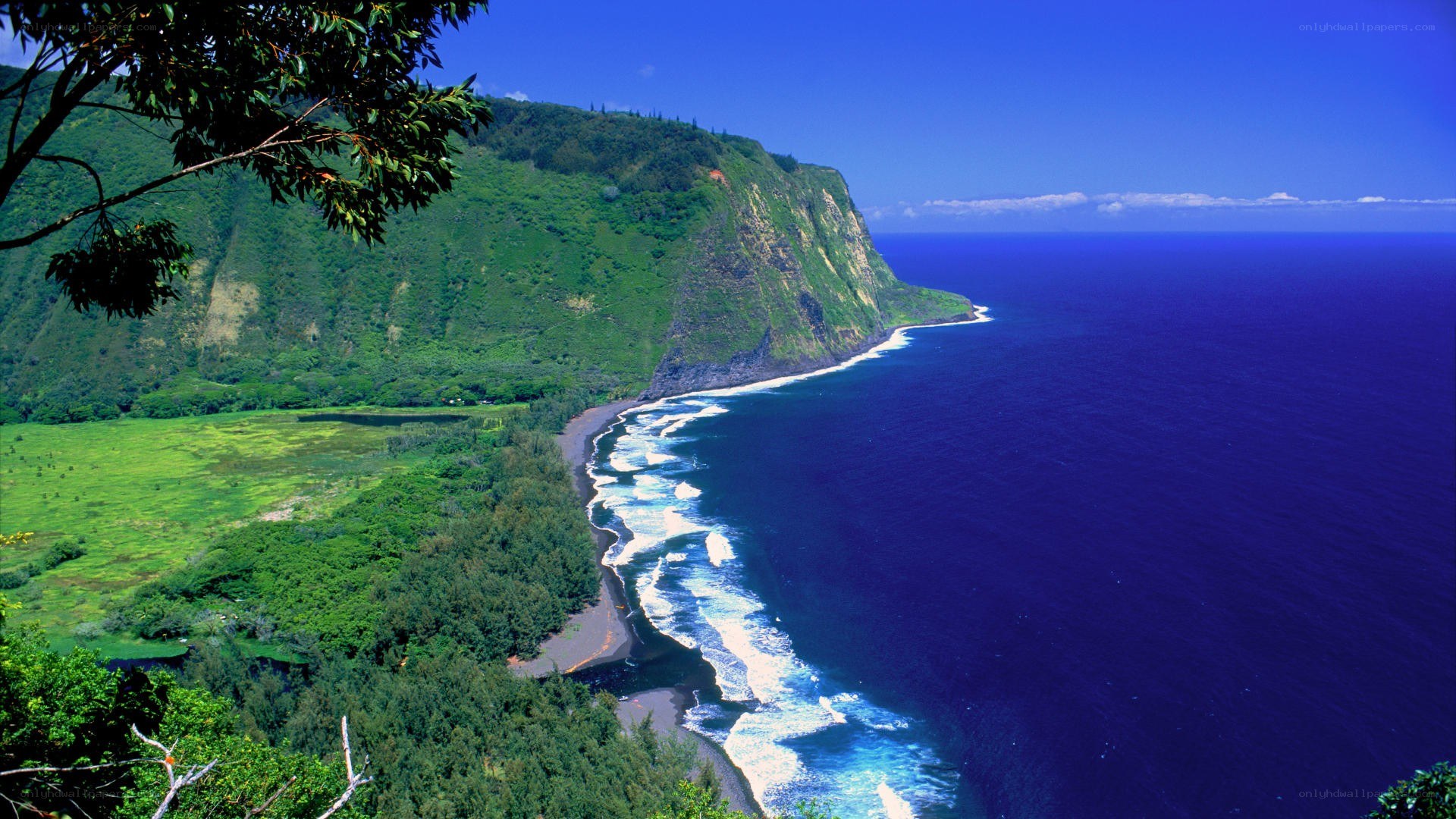 coastal cliffs and ocean view