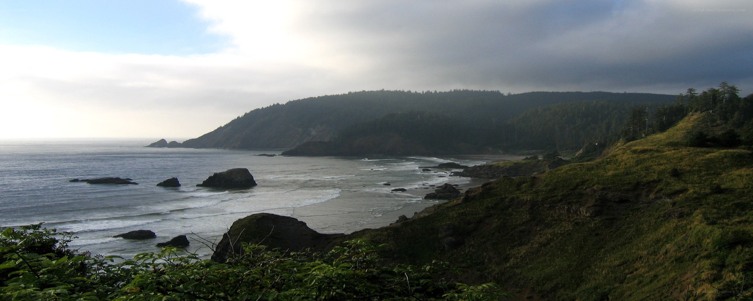 coastal cliffs and ocean view
