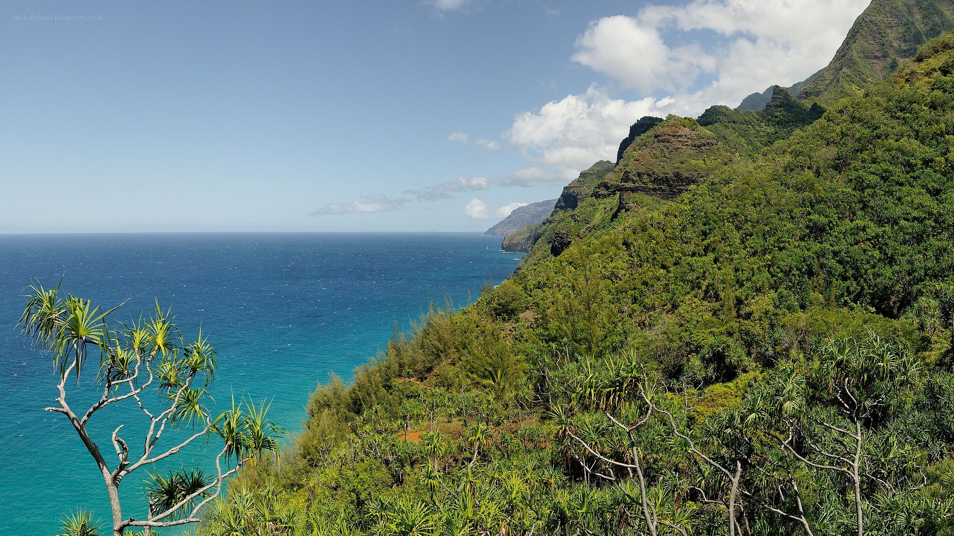 coastal cliffs and ocean view